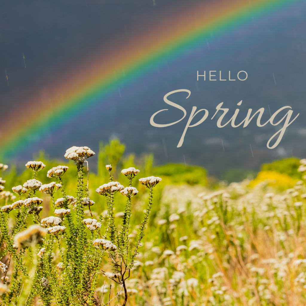 Spring in Cpe Town
